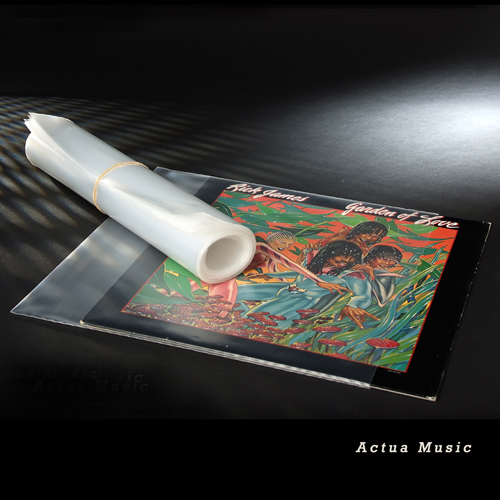 100 pochettes de protection en plastique pour vinyles 33 Tours - Unknown -  Accessoire Audio - Achat & prix